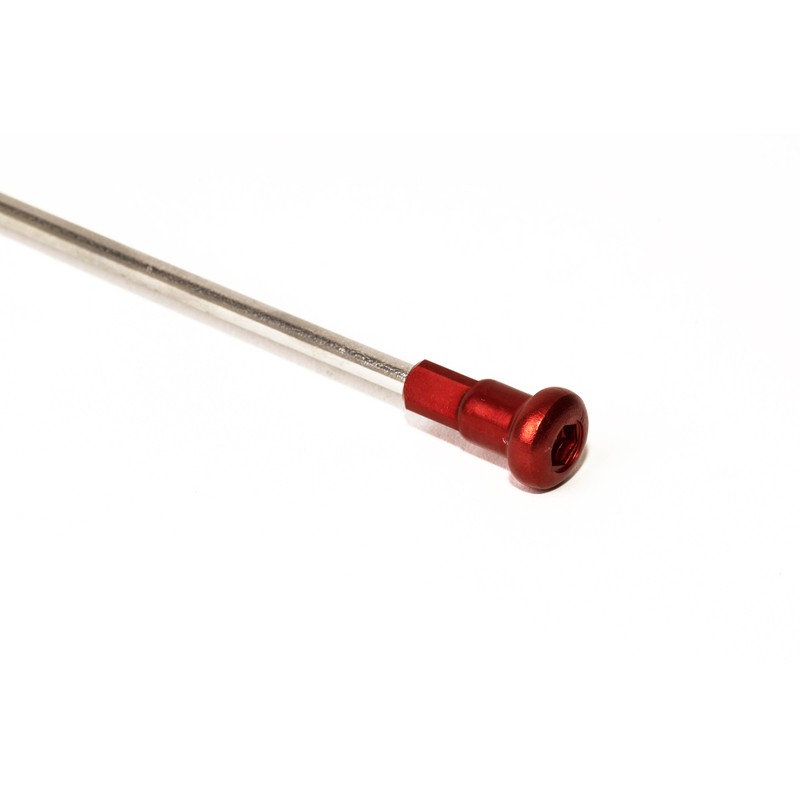 Rueda delantera completa HAAN WHEELS 21x1,60x36T