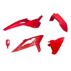 Kit de plástica RACETECH color OEM - 4 piezas