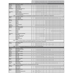 Puños ODI MX V2 Lock-On Rogue 2