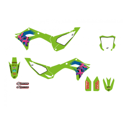 BLACKBIRD Retro Kawasaki Graphic Kit 2