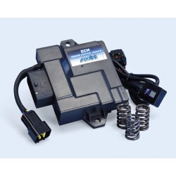 Centralita ECU POLINI