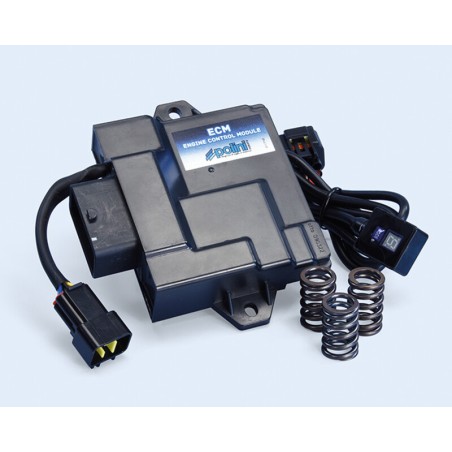 Centralita ECU POLINI