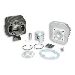 MALOSSI Cast Iron Cylinder Kit ø 47 Pin ø12 For Peugeot Scooter