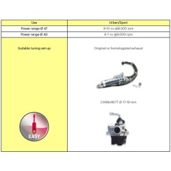 MALOSSI Cast Iron Cylinder Kit ø 47 Pin ø 12 2