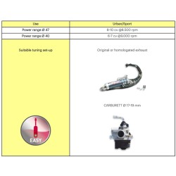 MALOSSI Cast-Iron Cylinder Kit ø 47 Pin ø 12 H2O 2