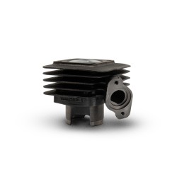 MALOSSI Cast-Iron Cylinder ø 47 Pin ø 10 For 50 cc Scooter 2