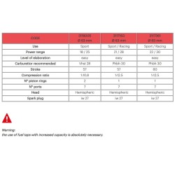 MALOSSI Aluminium Cylinder Kit ø 63 Aluminium CVF2 Pin ø 15 Sport 2