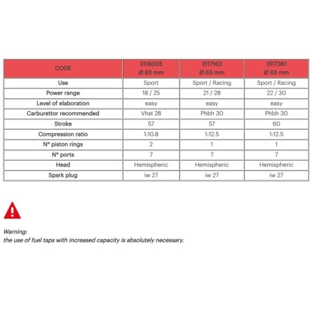 MALOSSI Aluminium Cylinder Kit ø 63 Aluminium CVF2 Pin ø 15 Sport