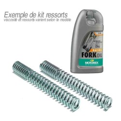 BITUBO Fork Spring Kit + MOTOREX Fork Oil Suzuki Yamaha X-MAX 125/250