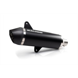 Silenciador MALOSSI RX 2