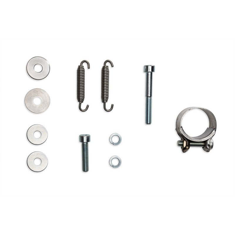 Silenciador MALOSSI RX