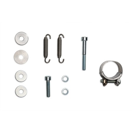 Silenciador MALOSSI RX