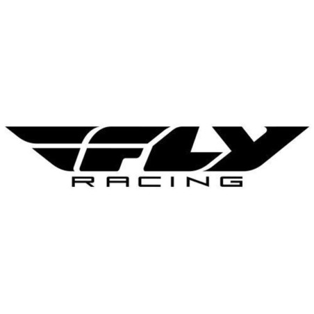 Visera FLY RACING Werx-R