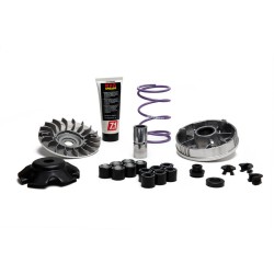 Variador MALOSSI Multivar MHR Team 2