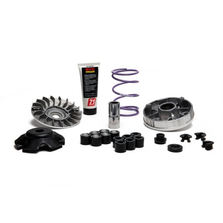 Variador MALOSSI Multivar MHR Team 2