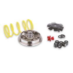 MALOSSI Multivar Variator 