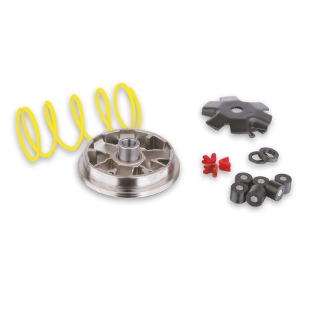 MALOSSI Multivar Variator 