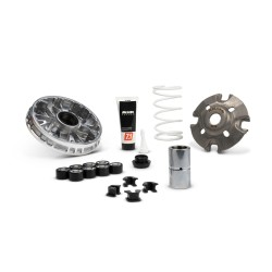 Variador MALOSSI Multivar 2000