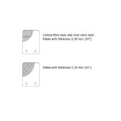MALOSSI Valve VL14 With Carbon Petals Thickness 0.30mm (45°) 2