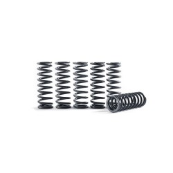 Muelles de embrague para campana de embrague HINSON (ref. 124909), Yamaha WR250F/YZ250F