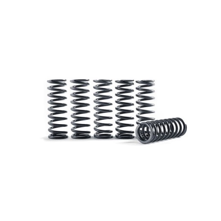 Muelles de embrague para campana de embrague HINSON (ref. 124909), Yamaha WR250F/YZ250F