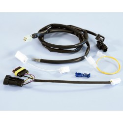 Conector/arnés de cables POLINI