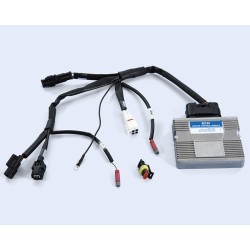 Centralita ECU POLINI