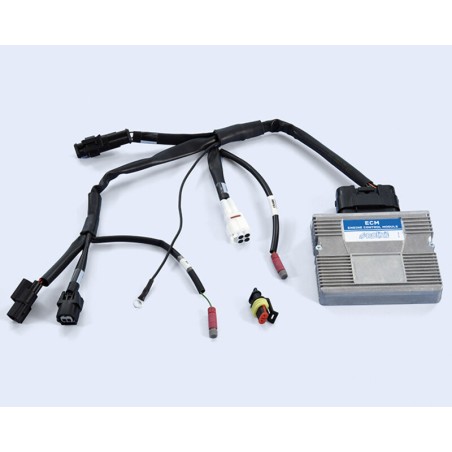 Centralita ECU POLINI