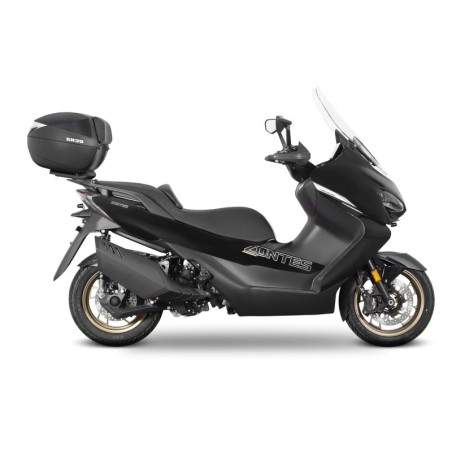 Fijaciones Shad Top Master Zontes K368