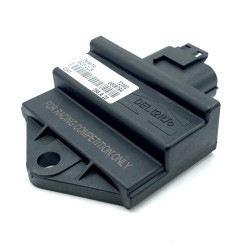 Centralita ECU ECS DELLORTO Racing 33Km/h 2