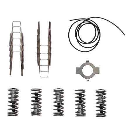 Embrague completo REKLUSE Apex