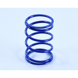 Muelle de contraste POLINI