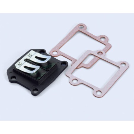 Válvula laminar POLINI