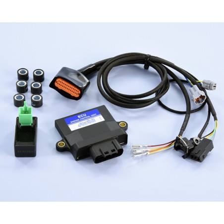 Centralita ECU POLINI