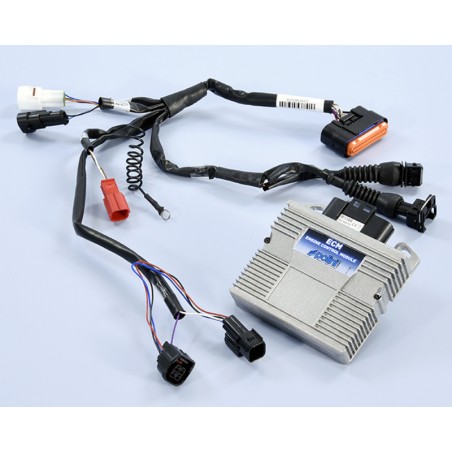 Centralita ECM POLINI