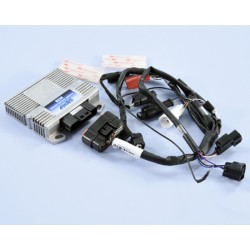 Centralita ECU POLINI