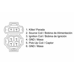 CDI TECNIUM - Honda XR 600