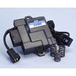 Centralita ECM POLINI