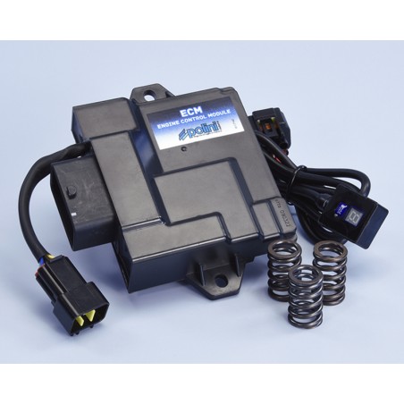 Centralita ECM POLINI