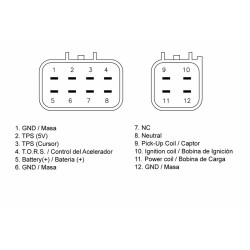 CDI TECNIUM - Yamaha YFZ450 2