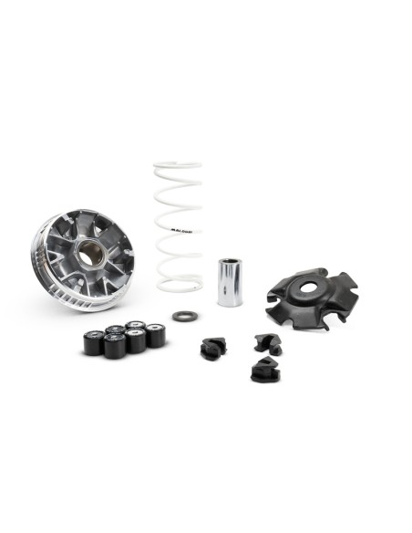 Variador MALOSSI Multivar 2000