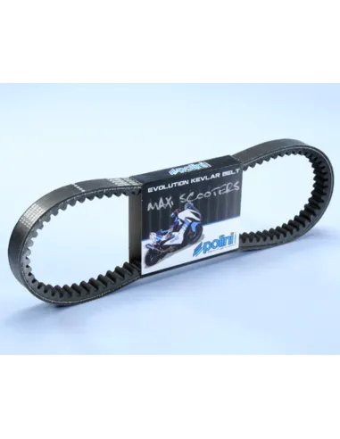 Correa de transmision POLINI Kevlar reforzada