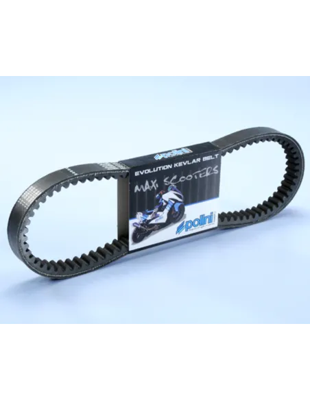 Correa de transmision POLINI Kevlar reforzada