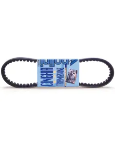 Correa de transmision POLINI standard