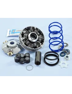 Variador Polini Hi-Speed EVO Yamaha D16-12,5º 241.748