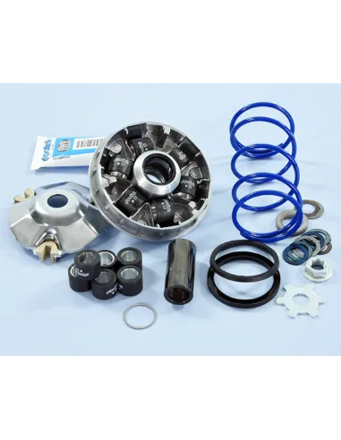 Variador Polini Hi-Speed EVO Yamaha D16-12,5º 241.748