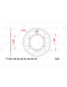 Piñón AFAM acero con goma anti-ruido 73303NR - 520