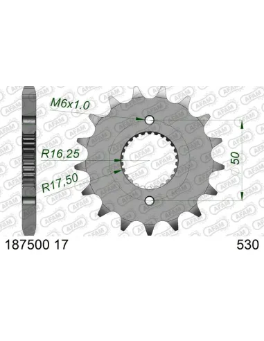 Piñón AFAM acero estándar 1875001 - 530