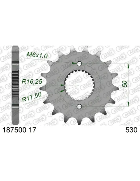 Piñón AFAM acero estándar 1875001 - 530
