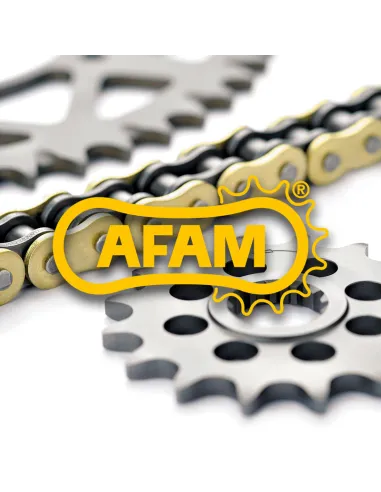 Kit de cadena AFAM 520XMR3 15/46-122 - corona standard